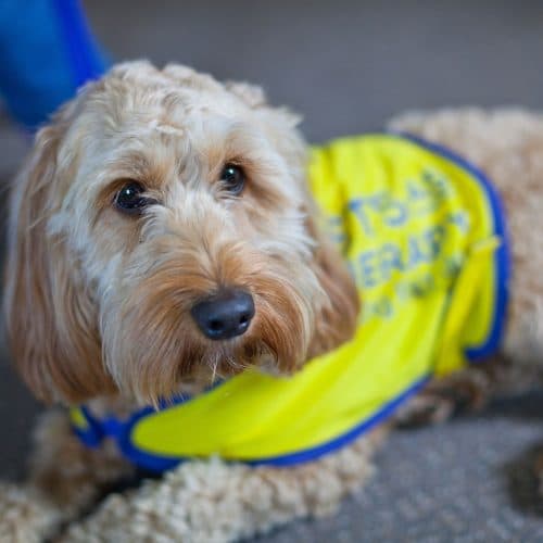 Royal Court photo 11