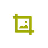 Lime Tree House photo 6