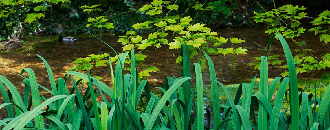 Littlebourne House Residential Care Home photo 1