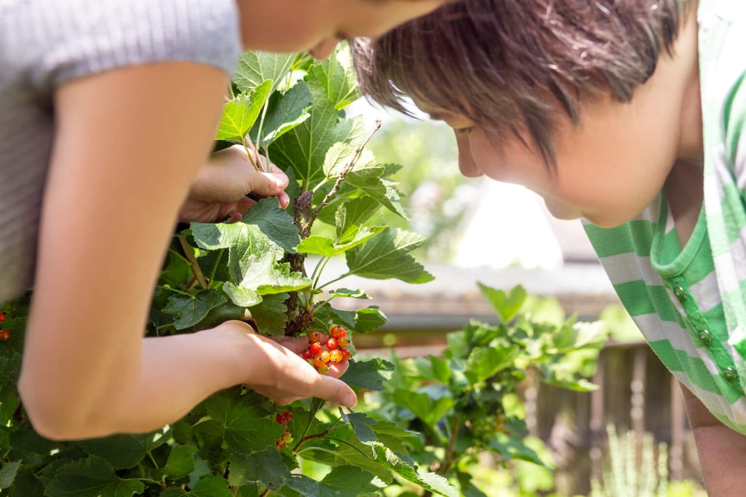 49 Bath Road photo 3