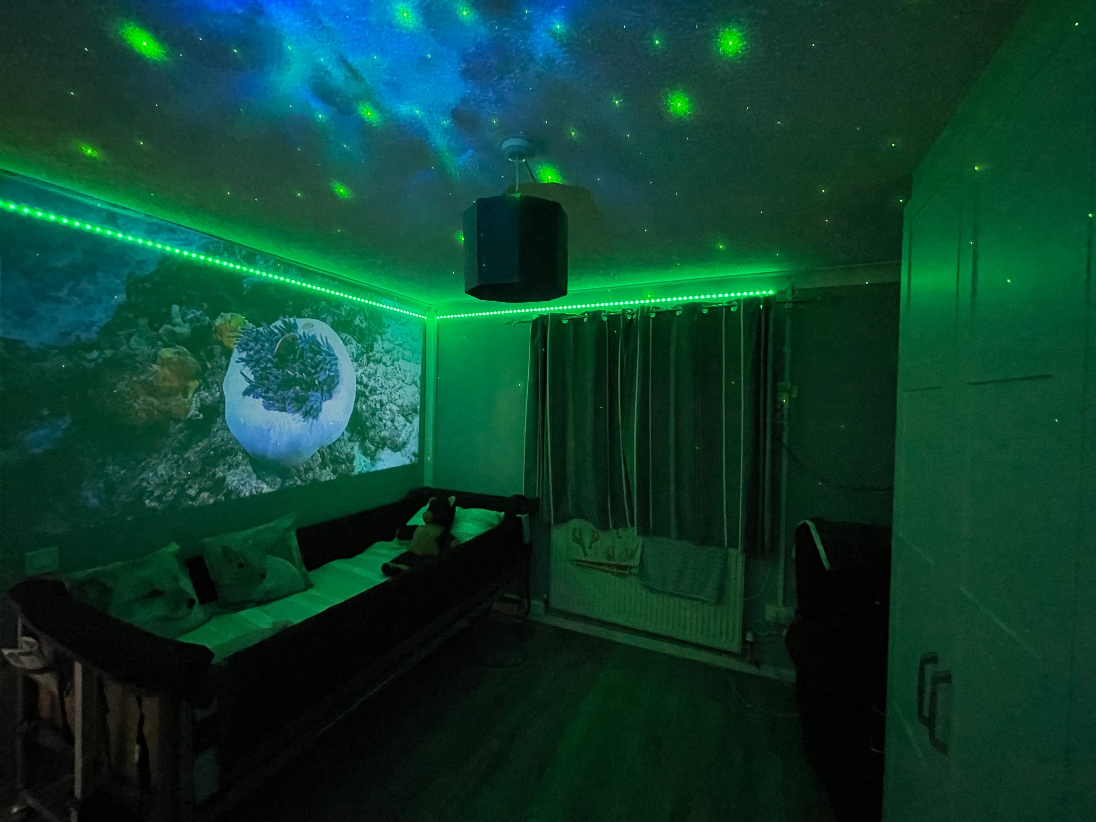 Little Paddocks photo 8