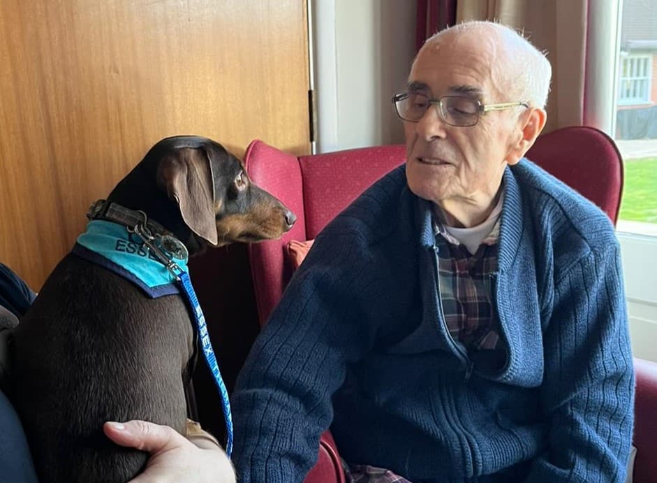 Mansion House Residential Home photo 10