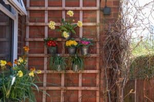 Meadowside Residential Care Home photo 7