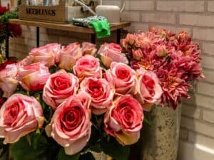 Ashbourne Lodge photo 10