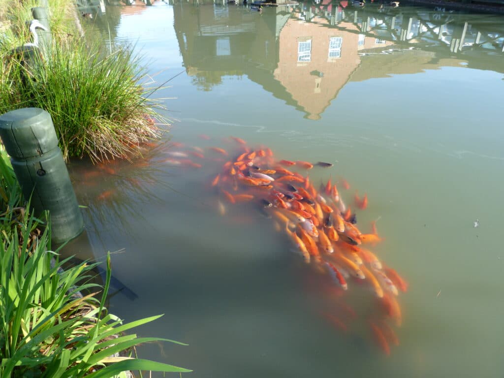 Kensington House photo 2