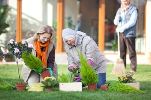 Mulberry Court Care Home photo 6