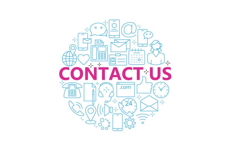 Silver Birch photo 7