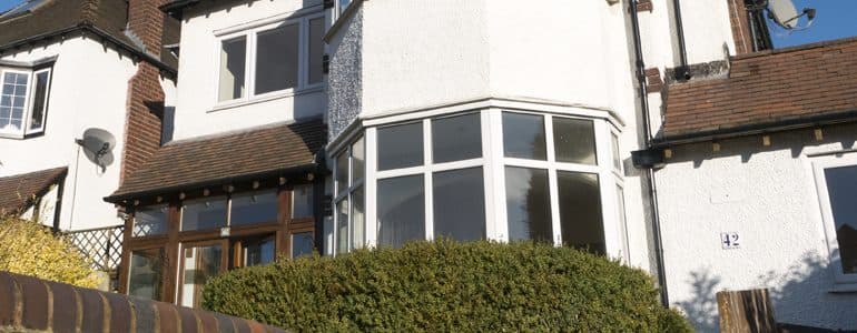 Silver Birch photo 10