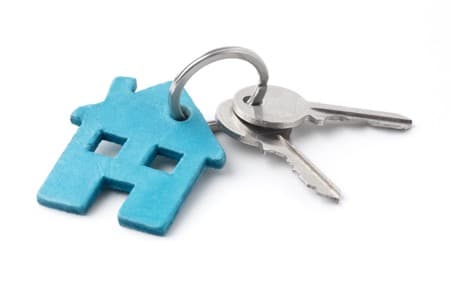 Silver Birch photo 6