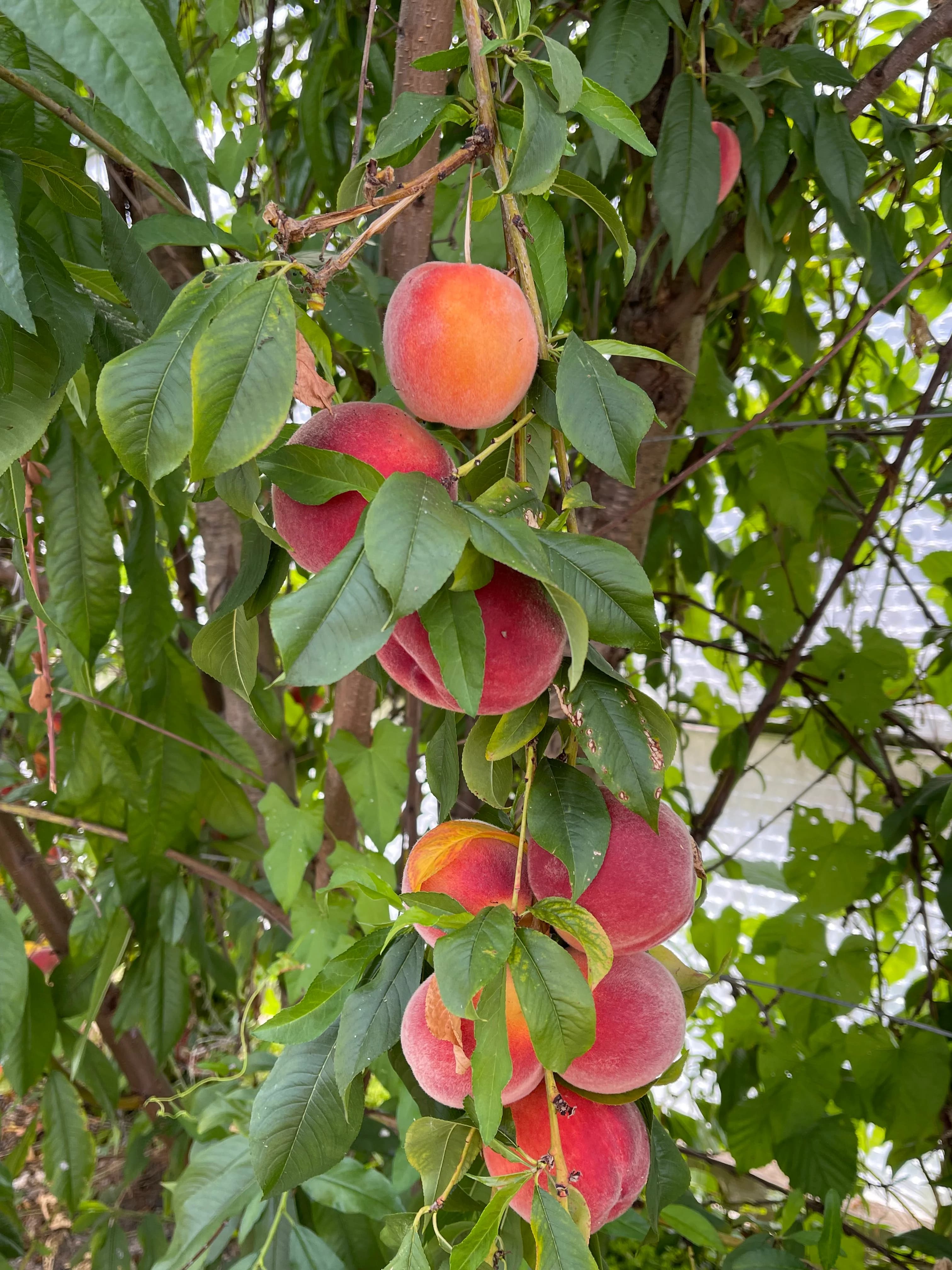 Otterbourne Care photo 4