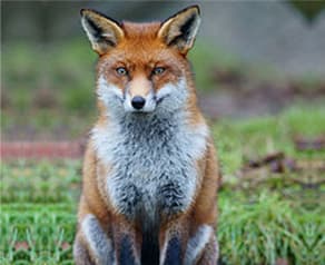 Park House Nursing Home photo 9