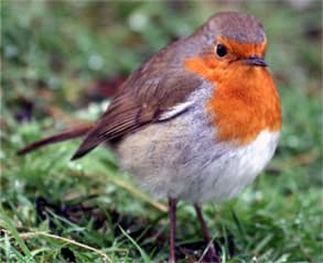 Park House Nursing Home photo 11