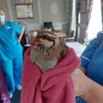 Paxton Hall Care Home photo 8