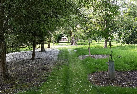 Peasmarsh Place photo 6