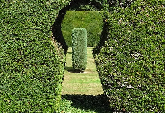 Peasmarsh Place photo 8