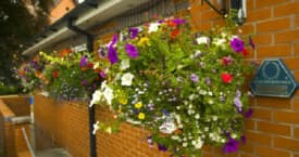 Pendruccombe House photo 6