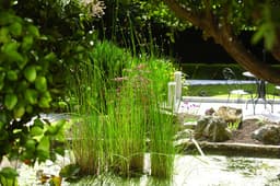 Penhellis Nursing Home