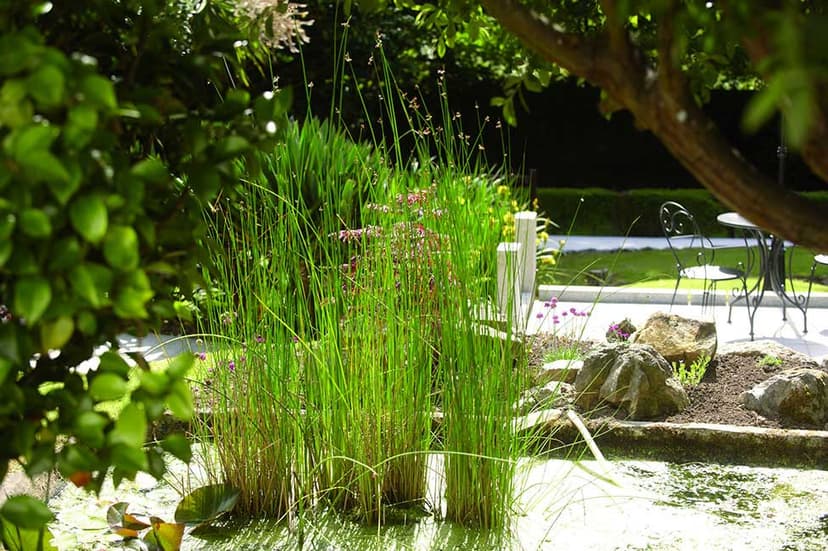 Penhellis Nursing Home