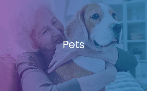 Portelet Grange photo 10