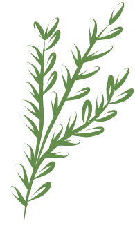 Rosemary Lodge photo 3