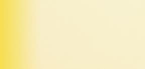 Elmsdene Care Home photo 2