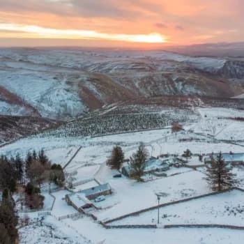 Steven Lodge photo 2