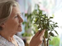 Springfield Manor Nursing Home photo 10