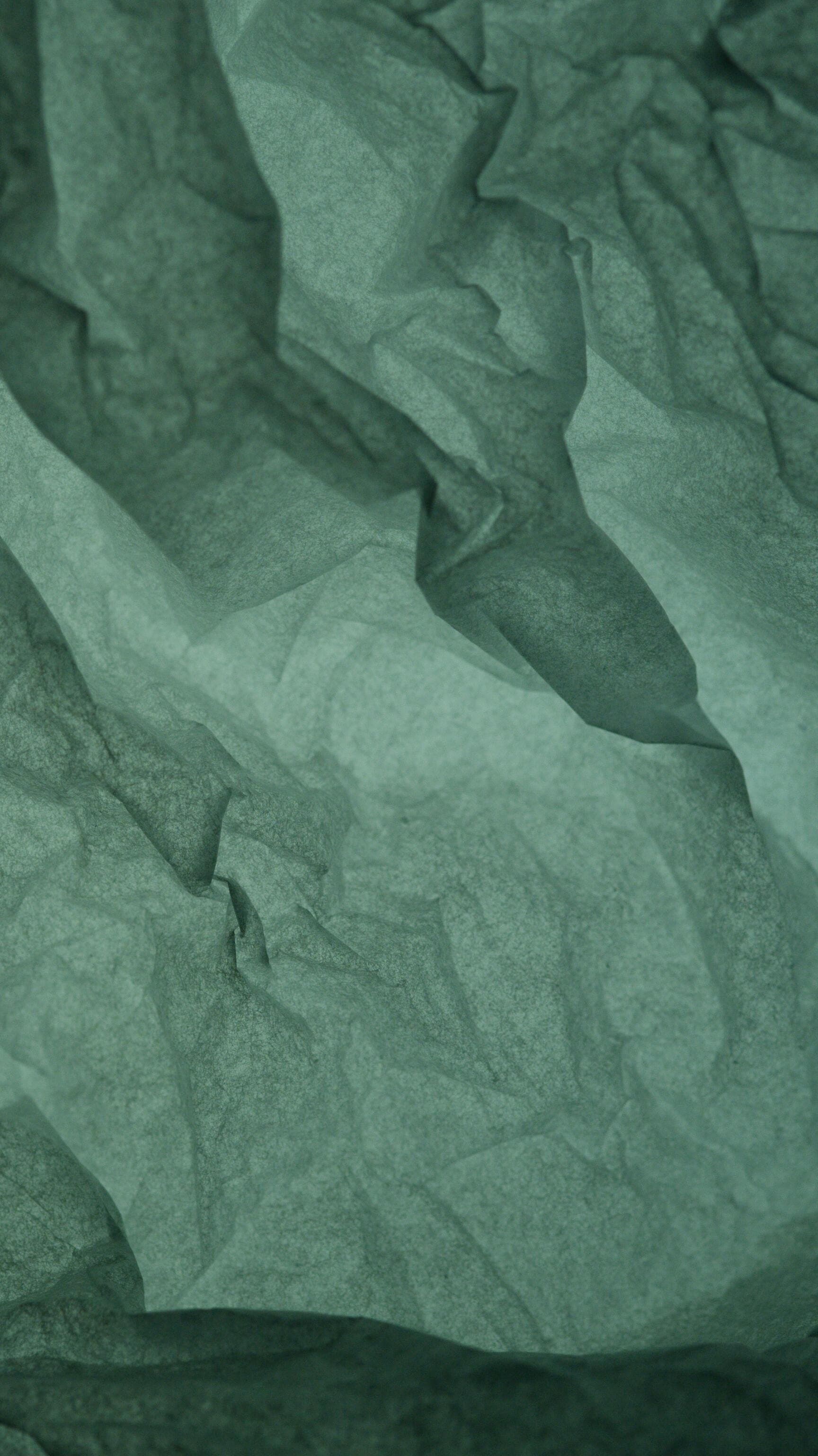 Little Acorns photo 10