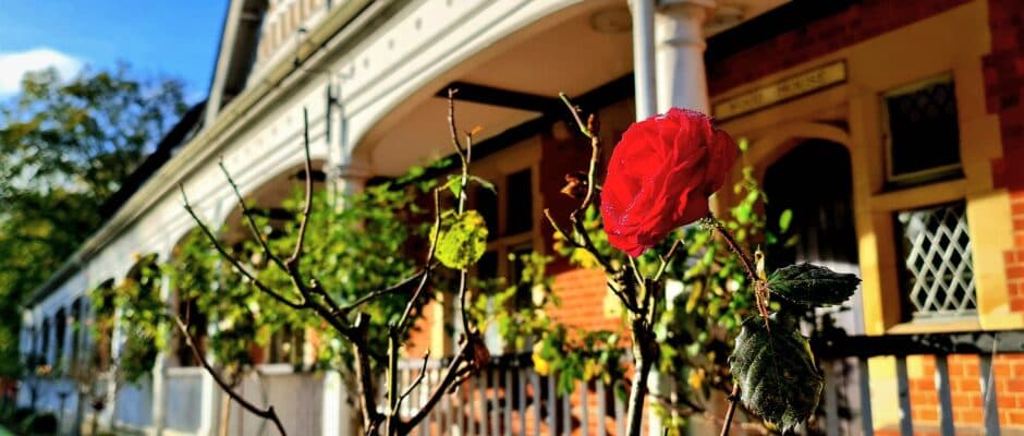 College of St Barnabas photo 3