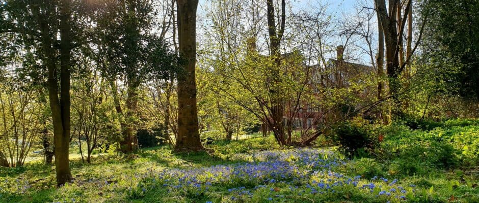 College of St Barnabas photo 2