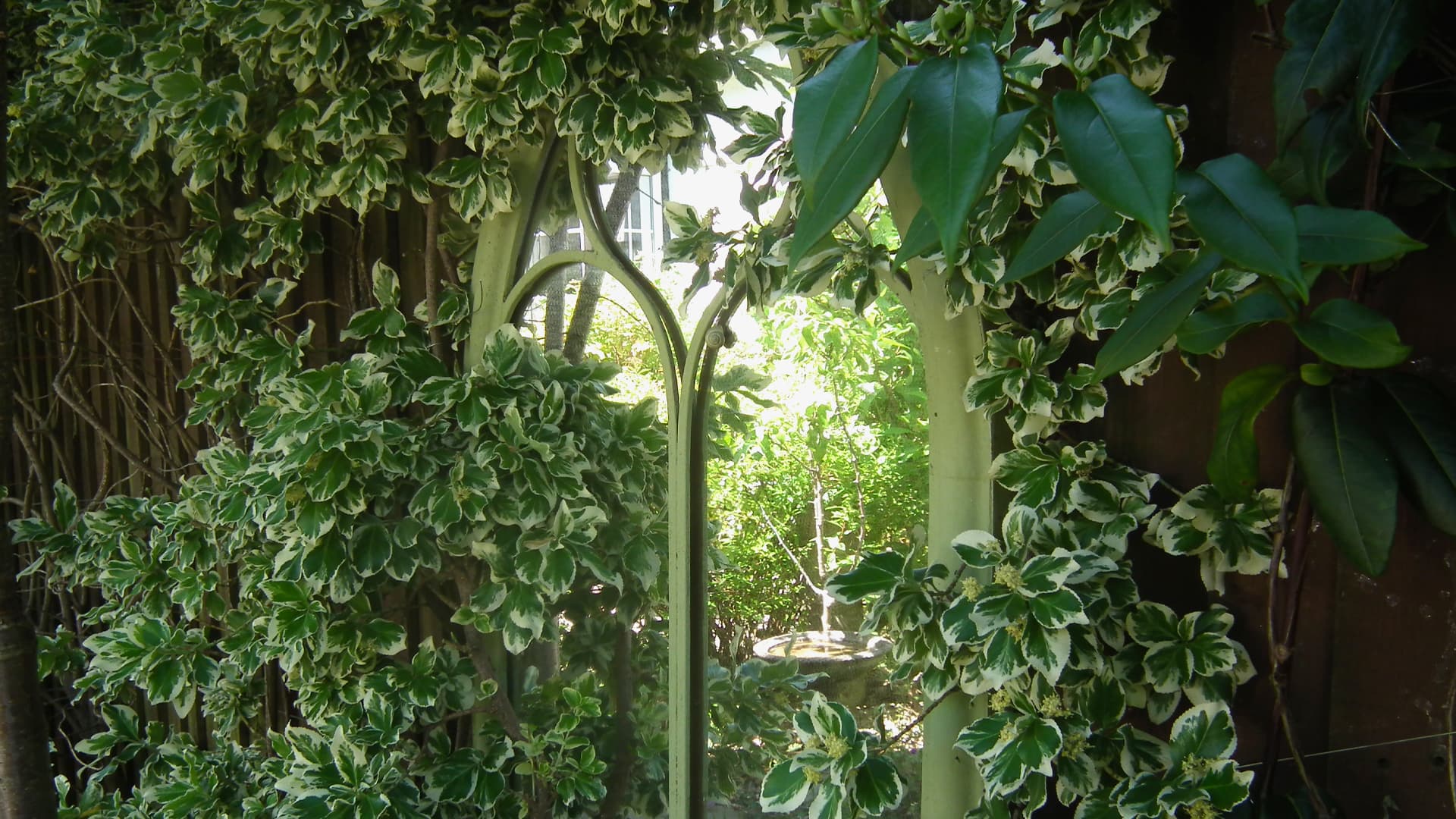 St Andrew's Residential Care Home Limited photo 9