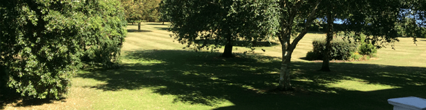 St Heliers Care Home photo 8