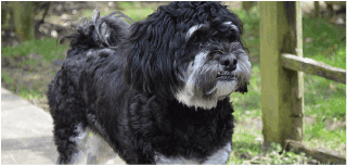 St Judes Nursing Home photo 7