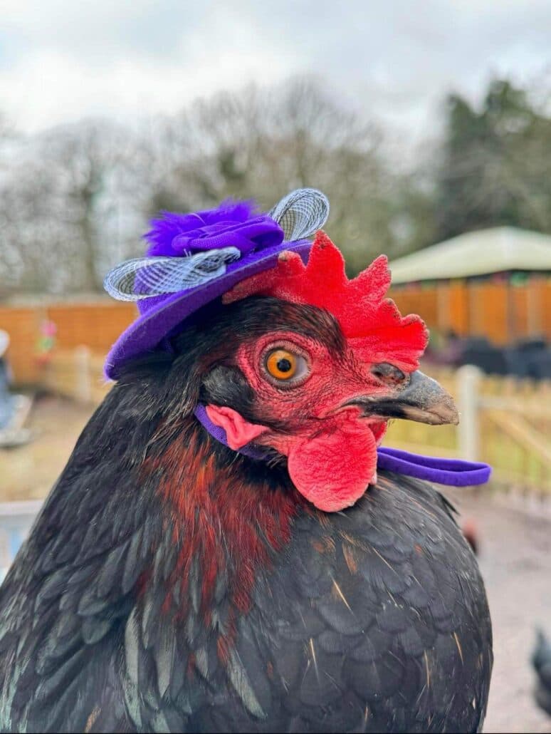 Stubby Leas Nursing Home photo 3