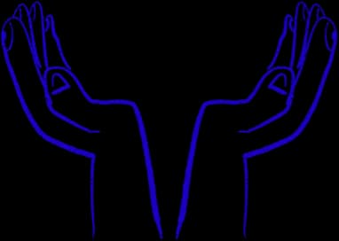 Montrose House photo 7