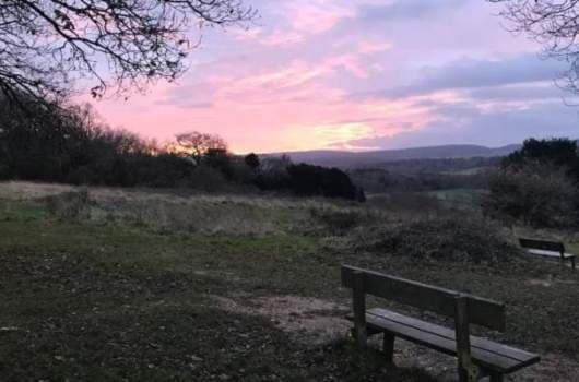 SCC Adult Social Care Supported Living and Mallow Crescent short breaks service photo 2