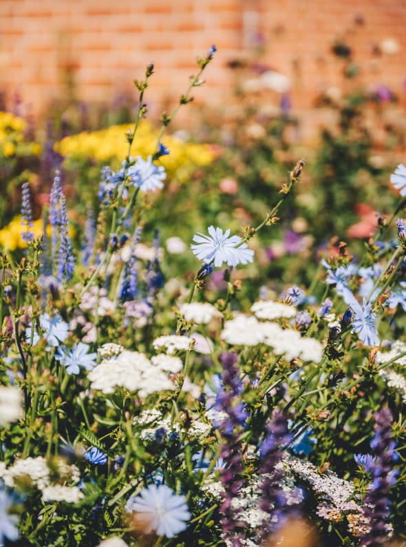 Lister Avenue photo 2