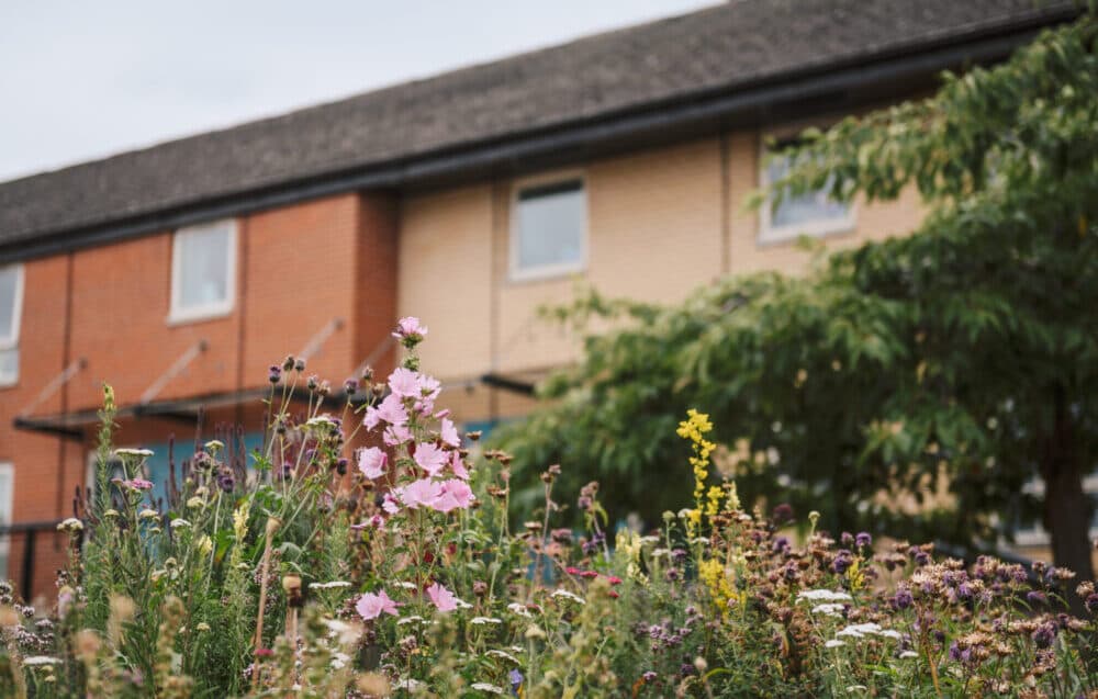 Lister Avenue photo 9