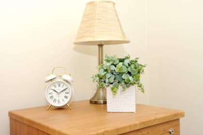 Holbeach Meadows Care Home photo 8