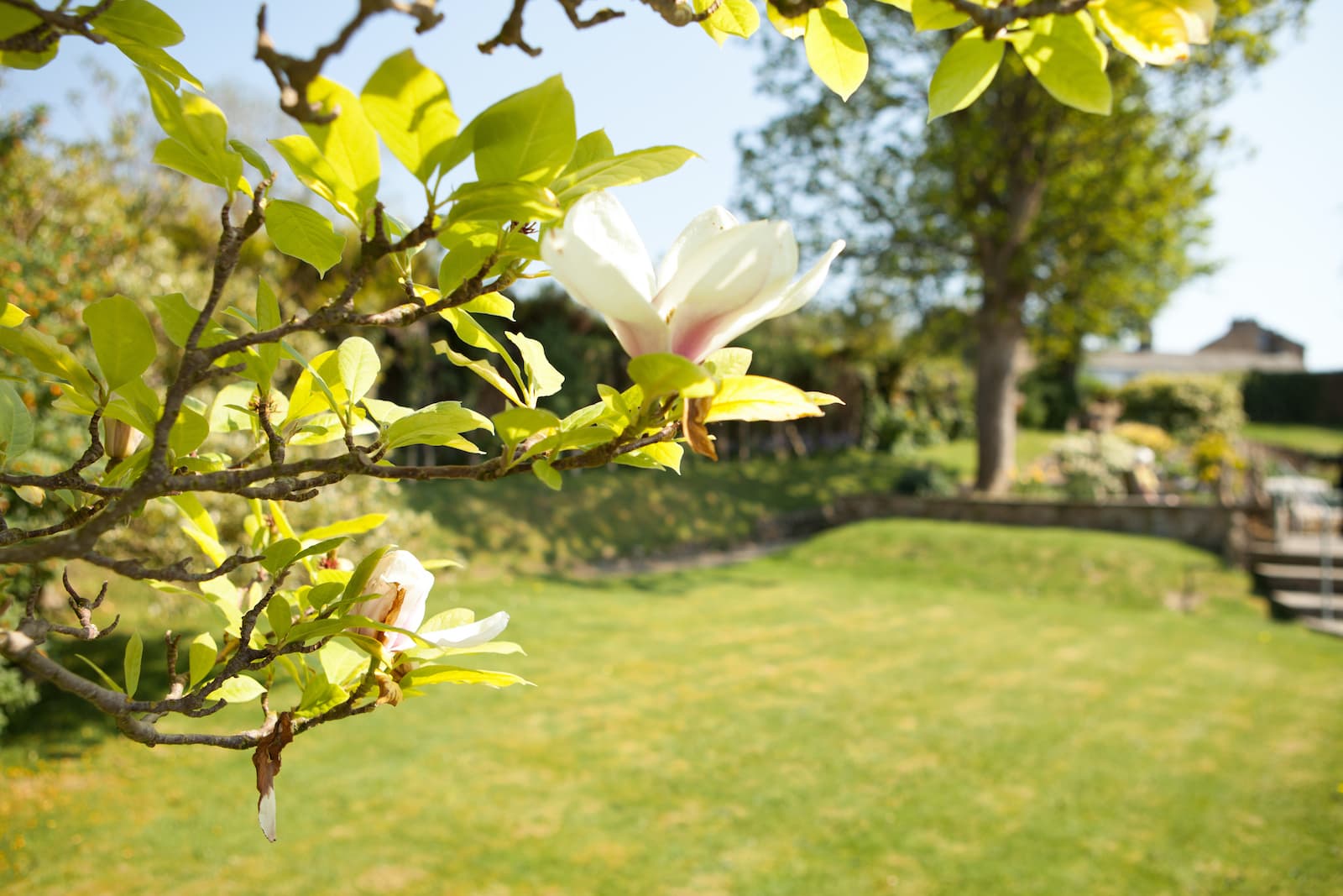 The Thorns Retirement Home photo 9