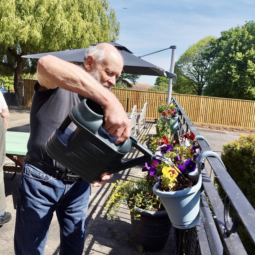 The Dene Lodge - Minehead