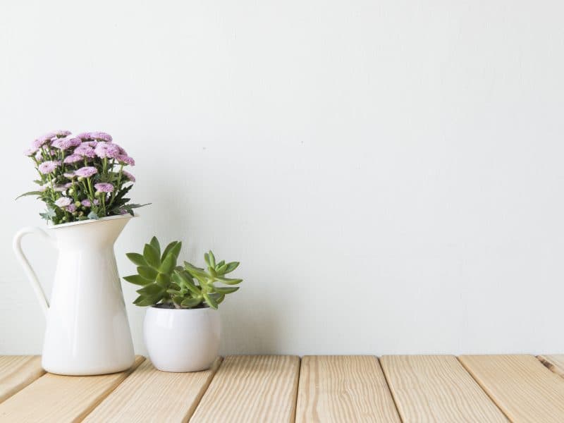 The Old Garden Care Home photo 3