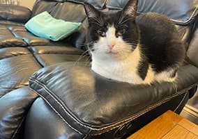 The Orchard Care Home photo 4