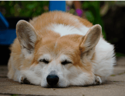 Thurlaston Meadows Care Home Ltd photo 3