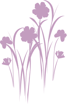 Thurlaston Meadows Care Home Ltd