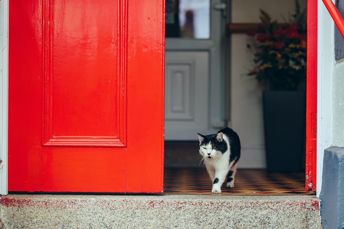 Torpoint Nursing Centre photo 1