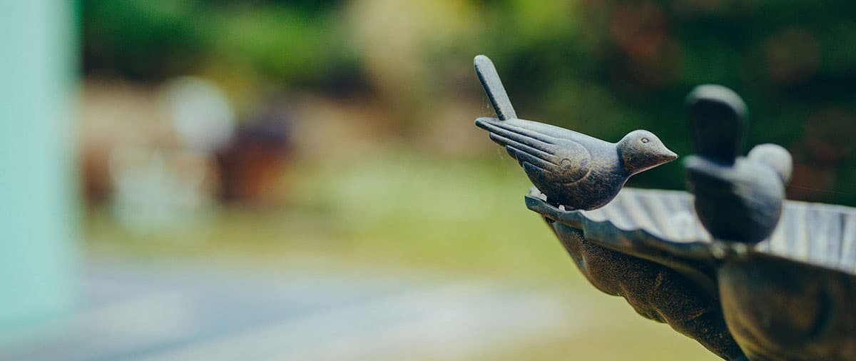 Torpoint Nursing Centre photo 3