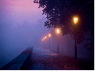 UBU - Cragmere photo 6