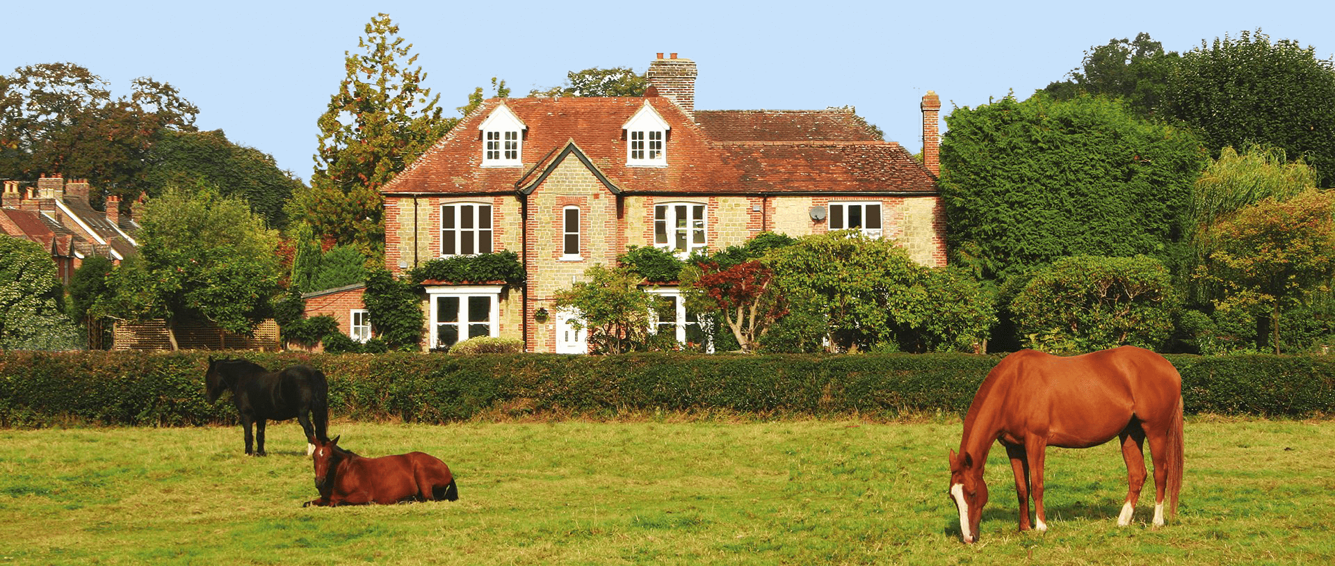 Vine House Older Persons Residence photo 1