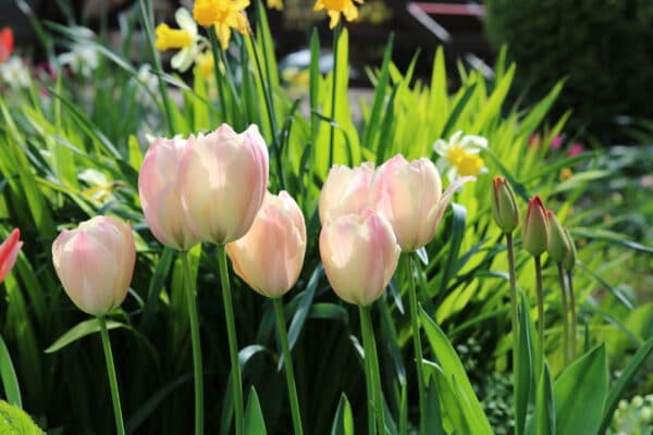 Wardington House Nursing Home photo 1